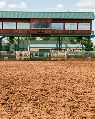 PBR Teams